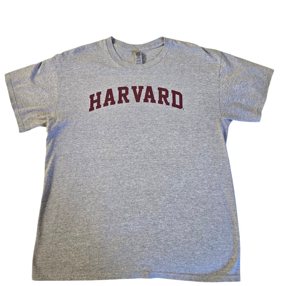 Academia NerdCore Streetwear "Harvard' Block Logo Crimson/Grey T-Shirt Size L